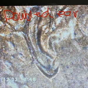 1988-D-Doubled-Ear,-Rotated-Dies,-FG-Initials-With-The-Tail