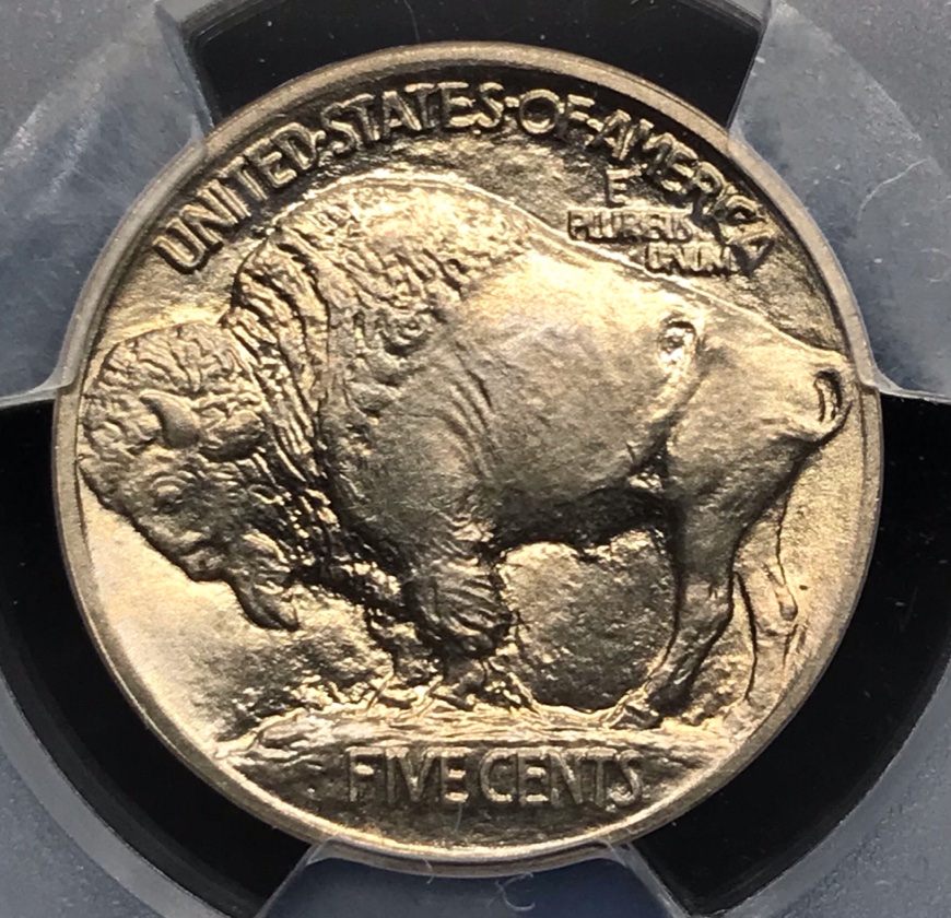 1913-T1-Buffalo-Nickel...you-Vs.-PCGS