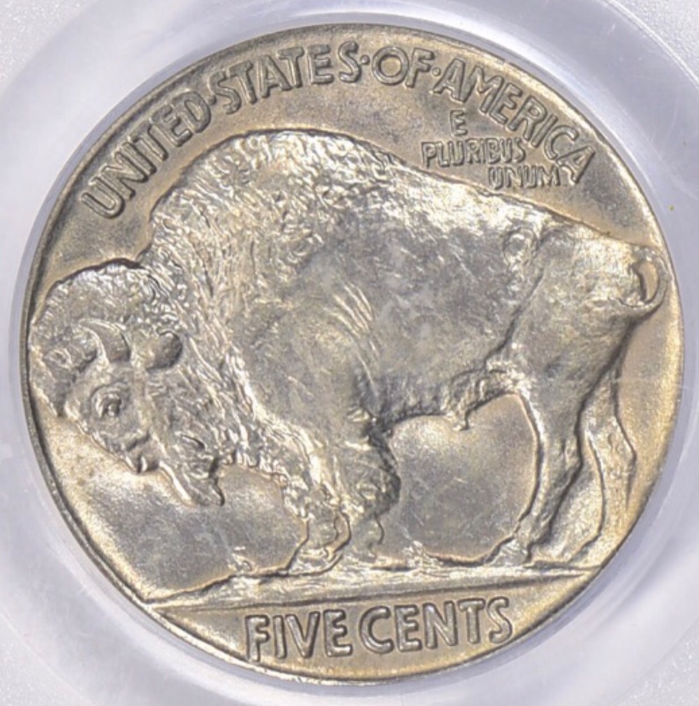 1921-Buffalo-Nickel-You-Vs-PCGS