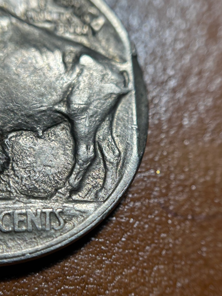 1913-T1-Buffalo.-Error-Or-PMD?