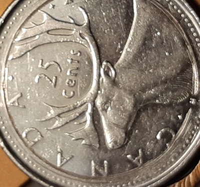 2011-Canadian-Quarter