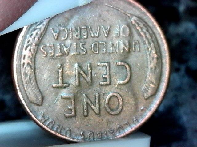 1946-S-LWC---Error-Question