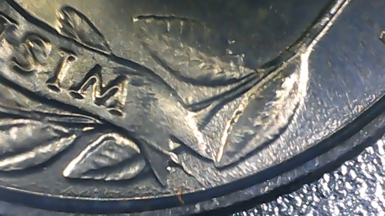Looking-To-Identify-If-These-Are-Truly-Errors-On-These-State-Quarters