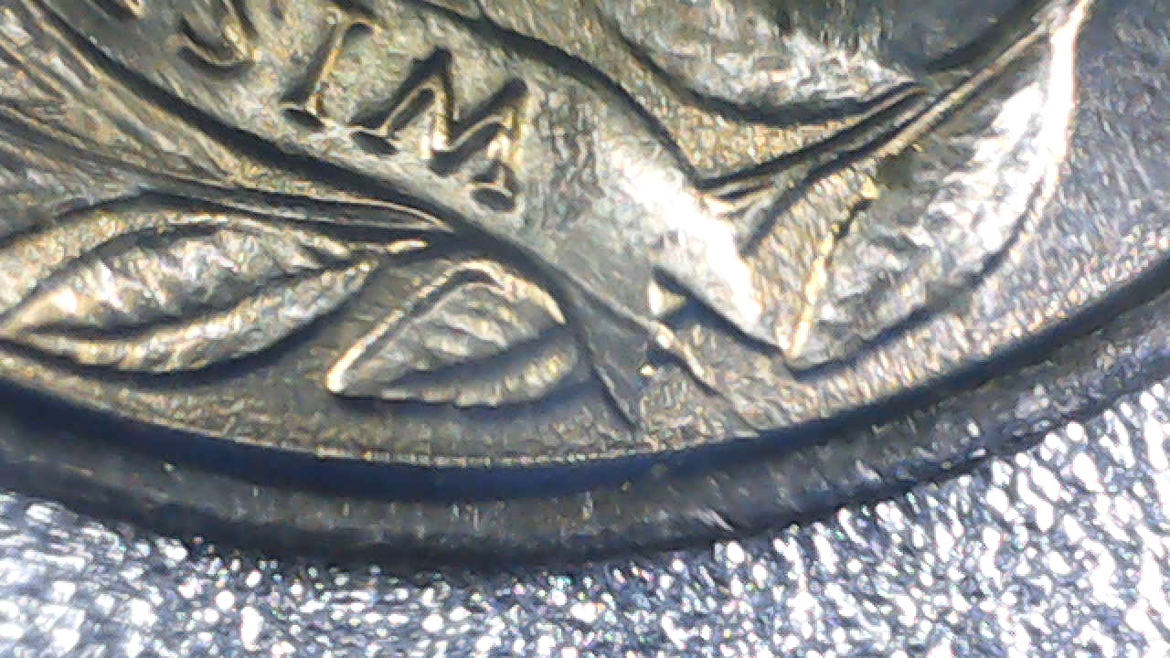 Looking-To-Identify-If-These-Are-Truly-Errors-On-These-State-Quarters