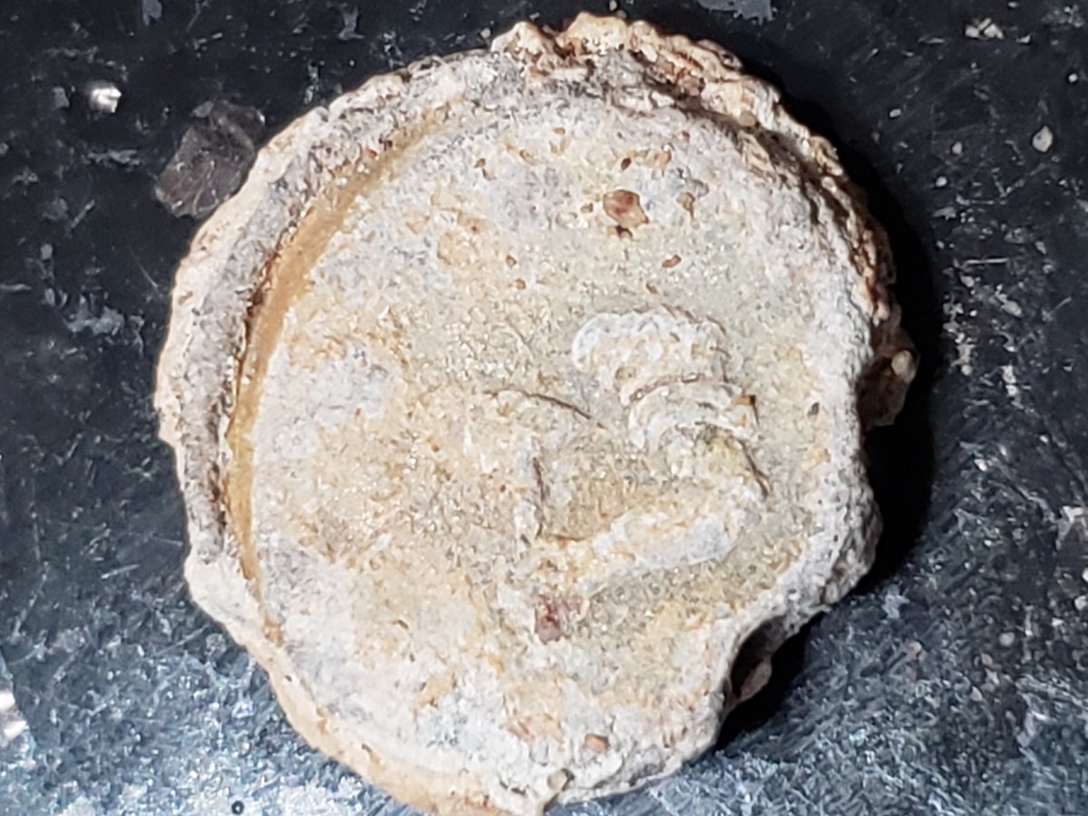 Coin-Found-At-Beach.-Id:-Likely-Arm-&-Hammer-Advertising-Token