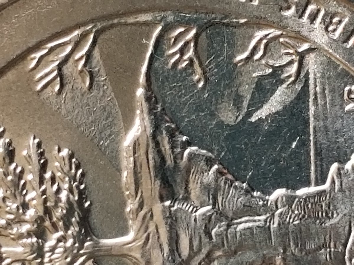 2018-D-Washington-Quarter-What's-The-Error?