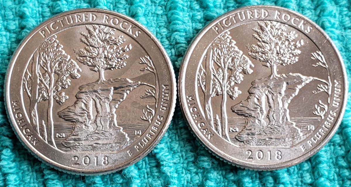 2018-D-Washington-Quarter-What's-The-Error?