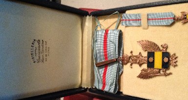 Medal-In-Box-Or-Badge-?