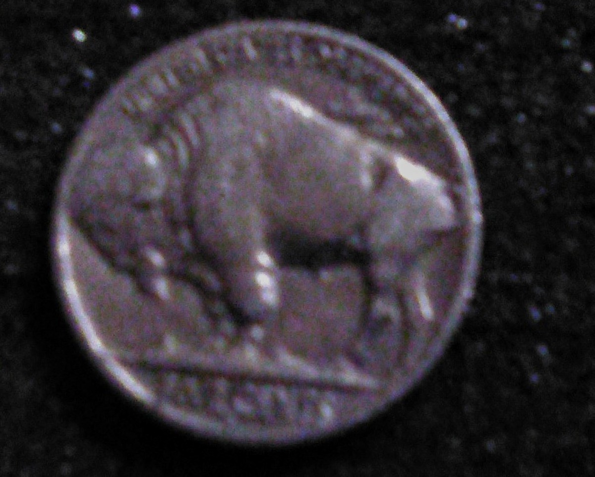 Collecting-Indian-Head-Nickels