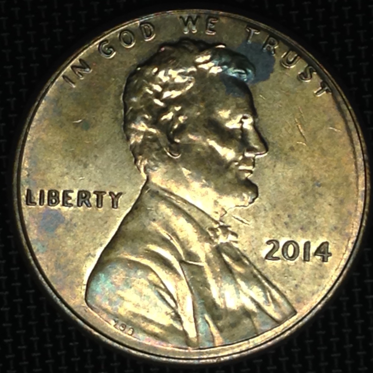 2014-Cent-WDDO-003-In-The-Wild