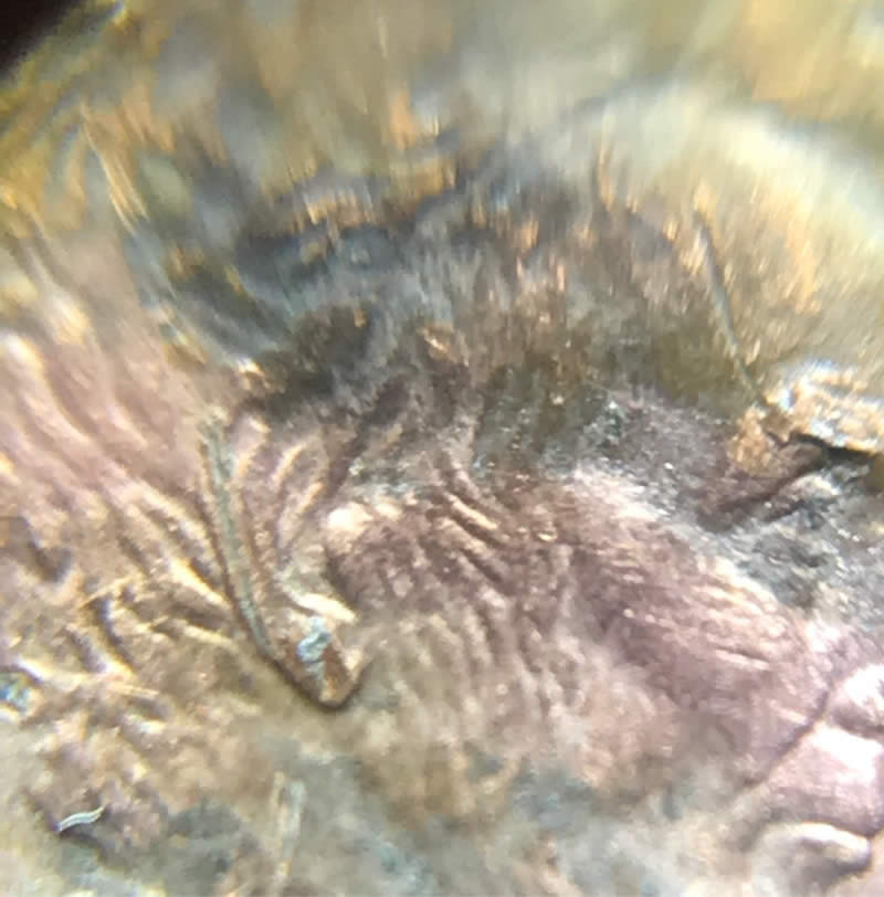 Help-Me-Identify-The-Error/Errors-On-This-2001-D-Lincoln-Memorial-Cent