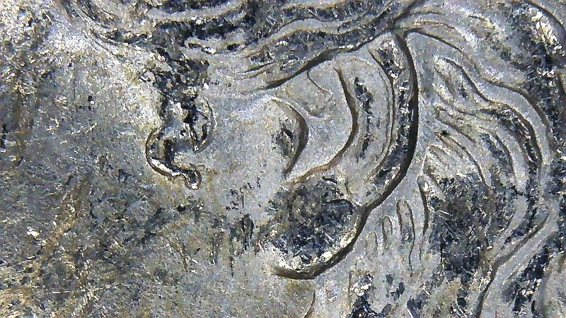 1878-S-Morgan-VAM-Questions