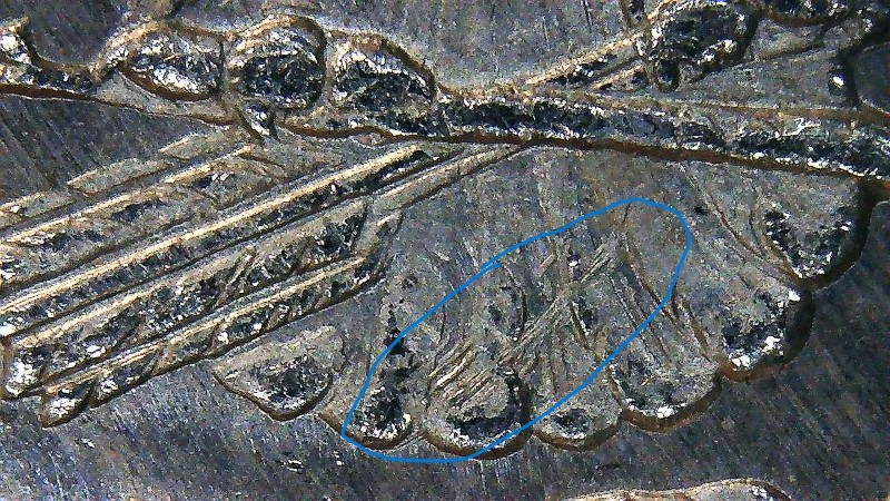 1878-S-Morgan-VAM-Questions