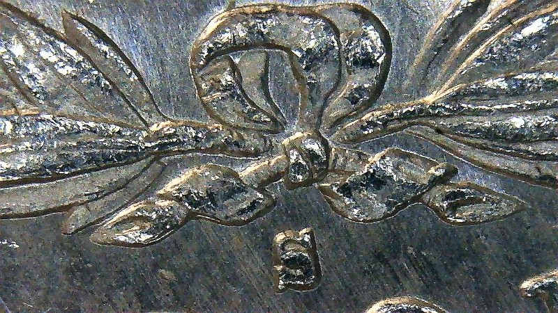 1878-S-Morgan-VAM-Questions