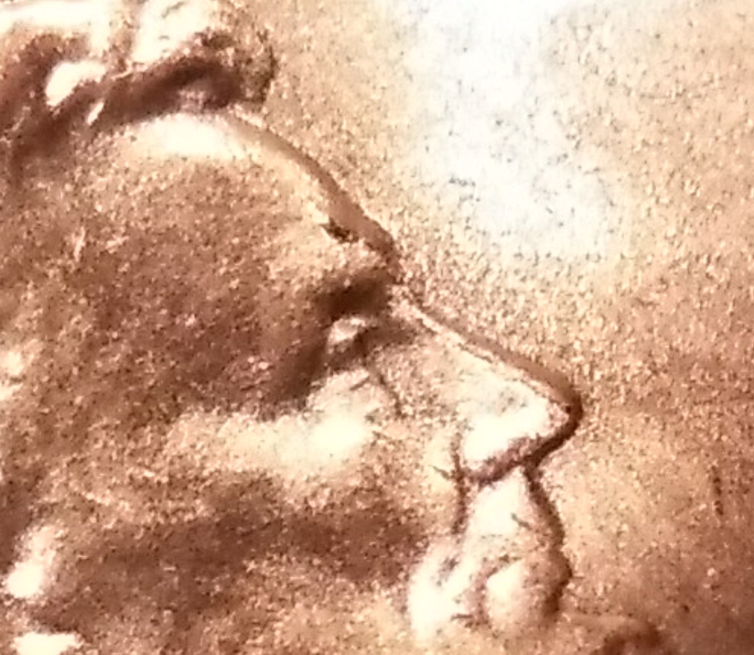 2018-P-Shield-With-Multiple-Issues-Obverse-And-Reverse.