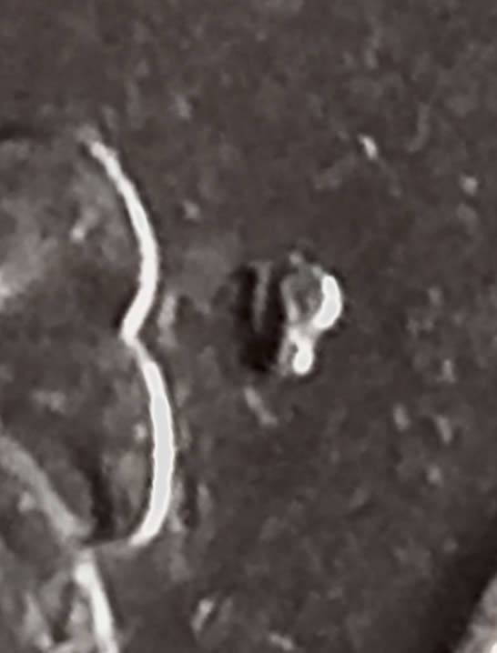1983-P-Washington-Quarter-With-Very-Obvious-RPM-Or-P/D-OMM