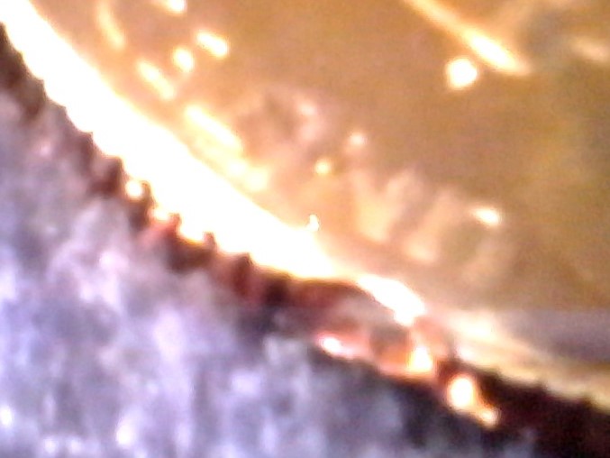 The-New-Guy,-Wesley-Grg---2009-P-Puerto-Rico-Quarter-Rim-Chop