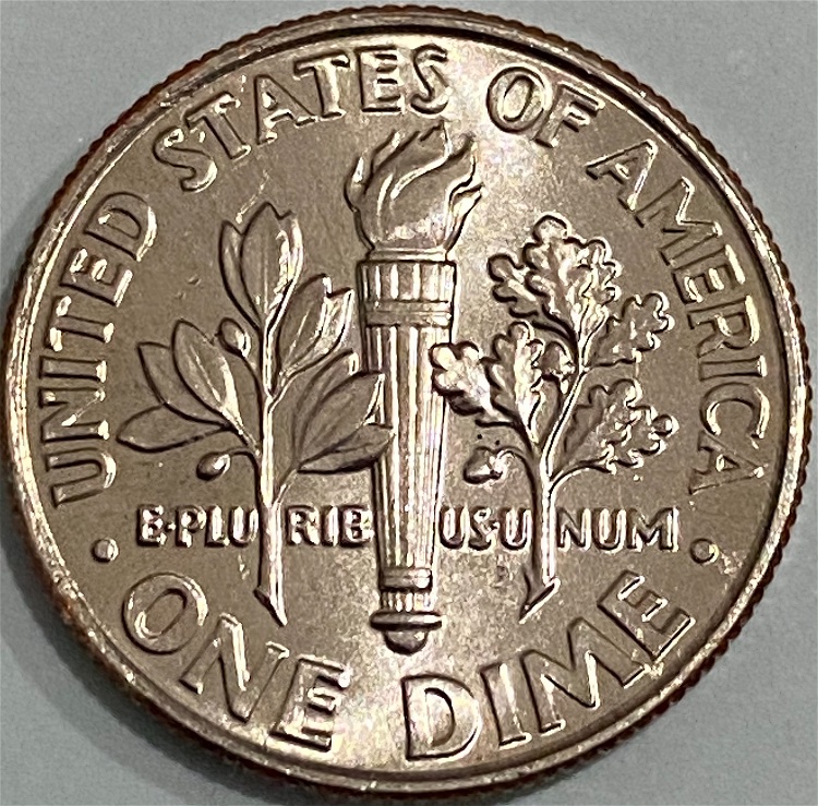 2019-P-Roosevelt-Dime-With-Cool-Reverse-Rim-Anomaly.