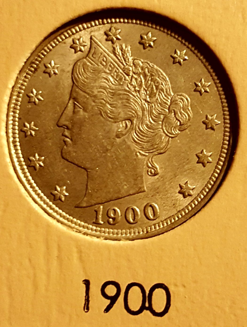 Liberty-Head-Nickel-Dansco-Album