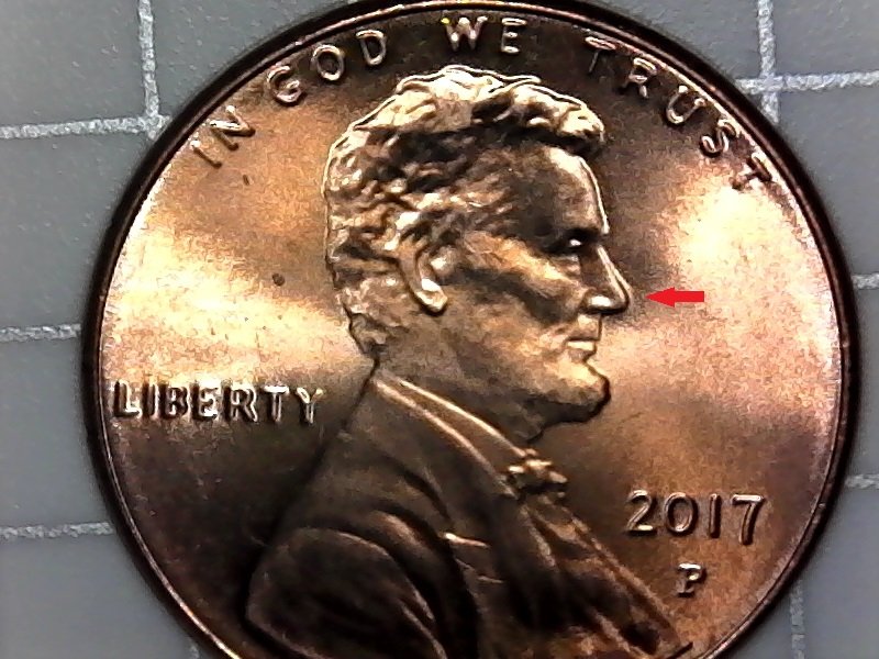 2017-P-Shield-Back-Penny-DD