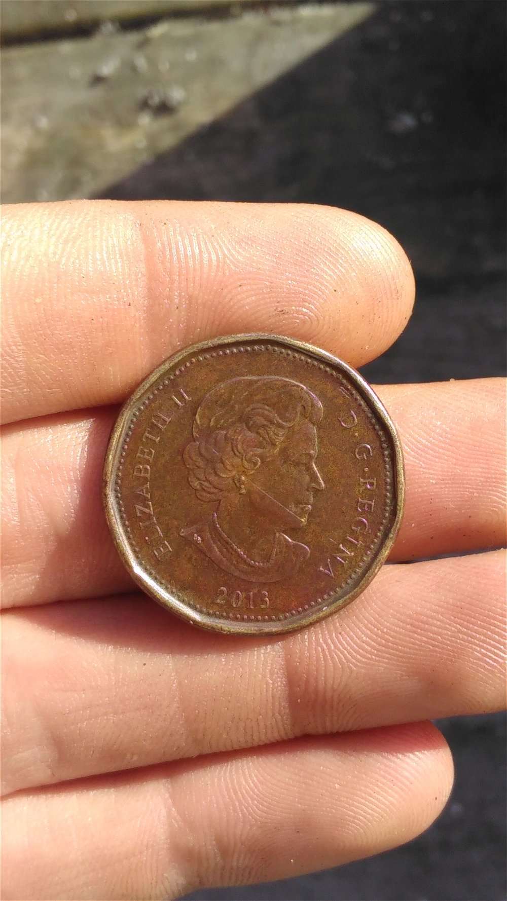 HI-I'm-New-To-This-Forum,-I-Got-A-Random-Wierd-Loonie