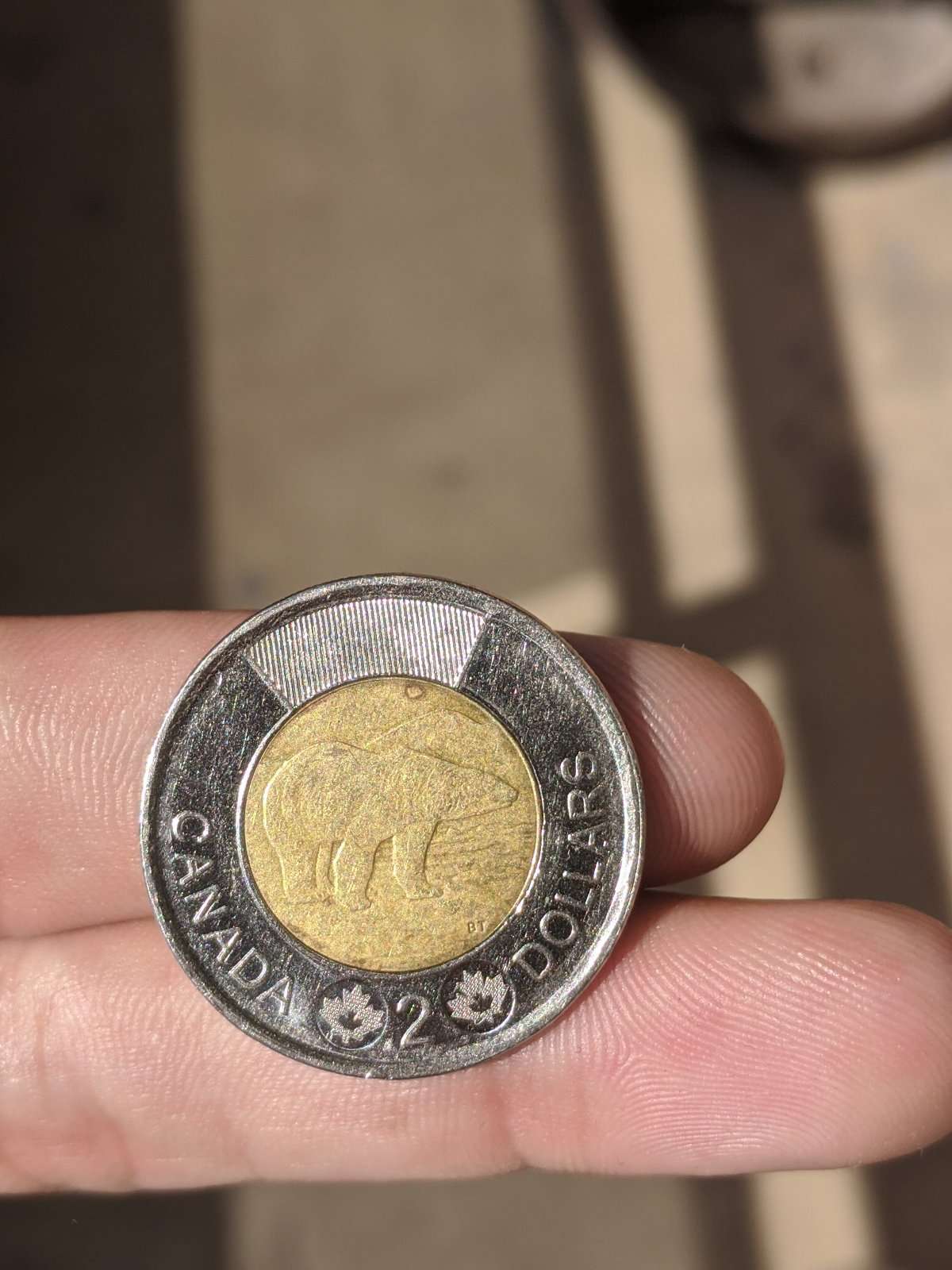 2012-Toonies,-Error-Or-Fake?
