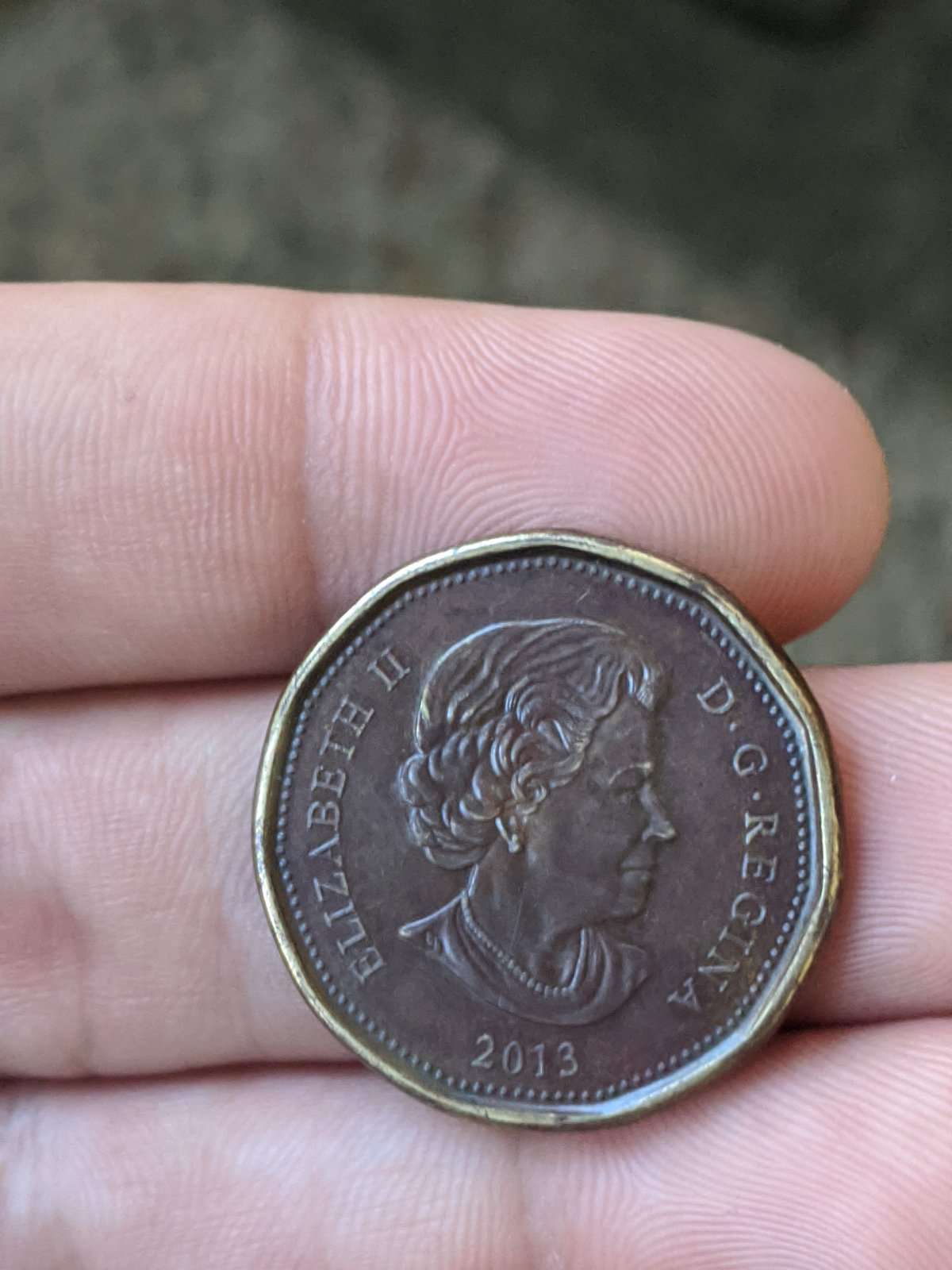 HI-I'm-New-To-This-Forum,-I-Got-A-Random-Wierd-Loonie
