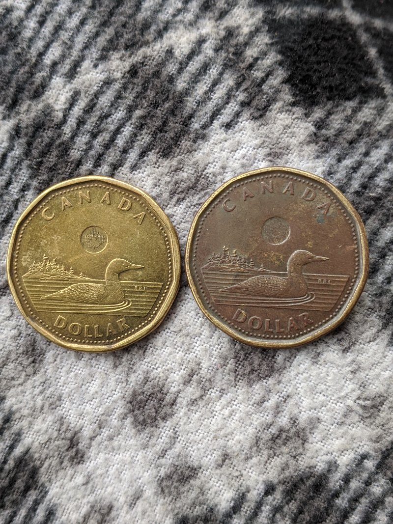 HI-I'm-New-To-This-Forum,-I-Got-A-Random-Wierd-Loonie