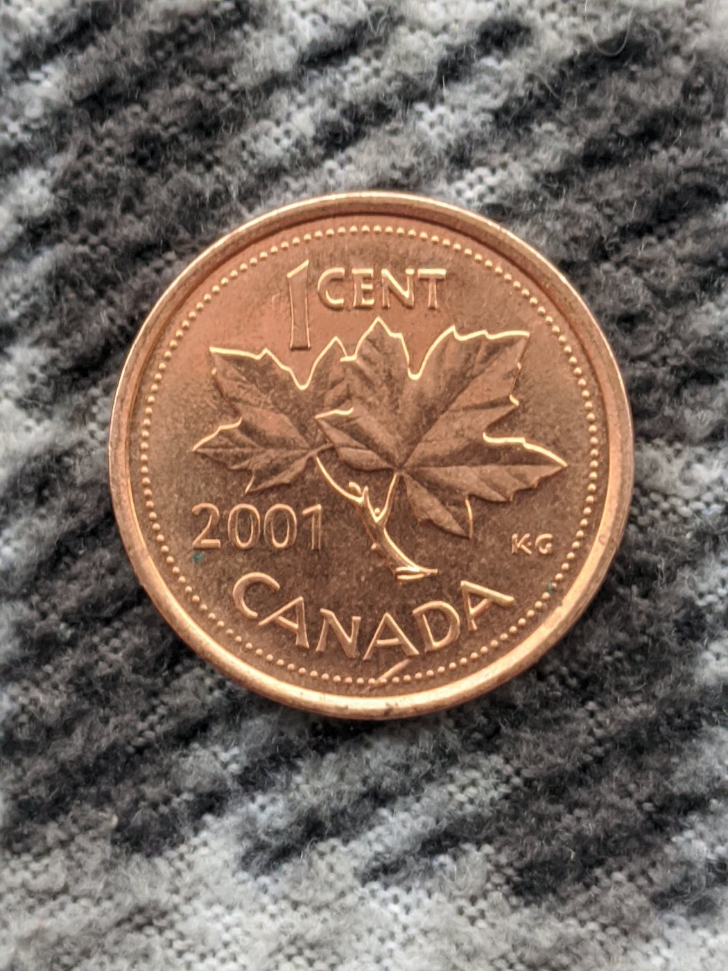 Is-This-A-Long-Die-Chip?-Or-Would-It-Be-A-Cud?