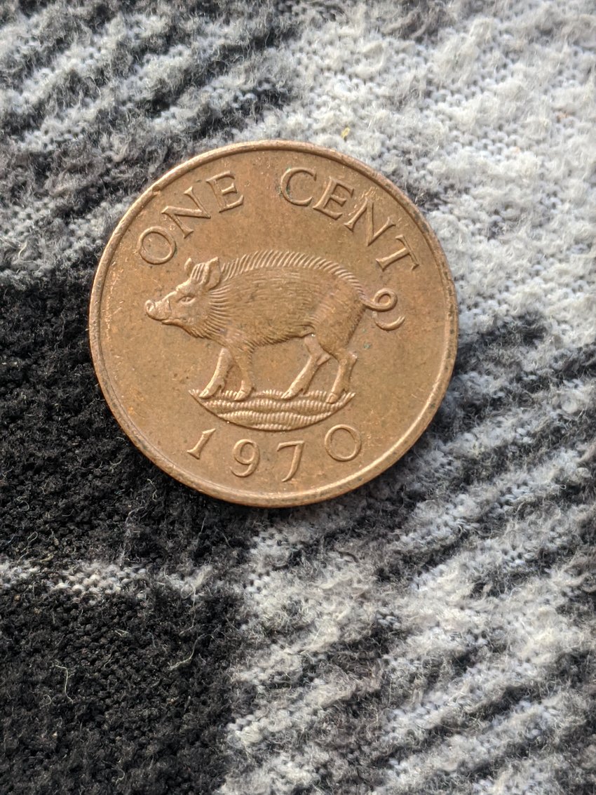Finally-Posting-My-Random-World-Coins-I've-Pulled-From-Roll-Hunting.