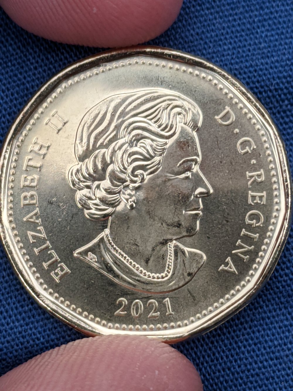 Beautiful-2021-Loonie-I-Got-In-My-Change-Today,-Is-This-Re-Normal