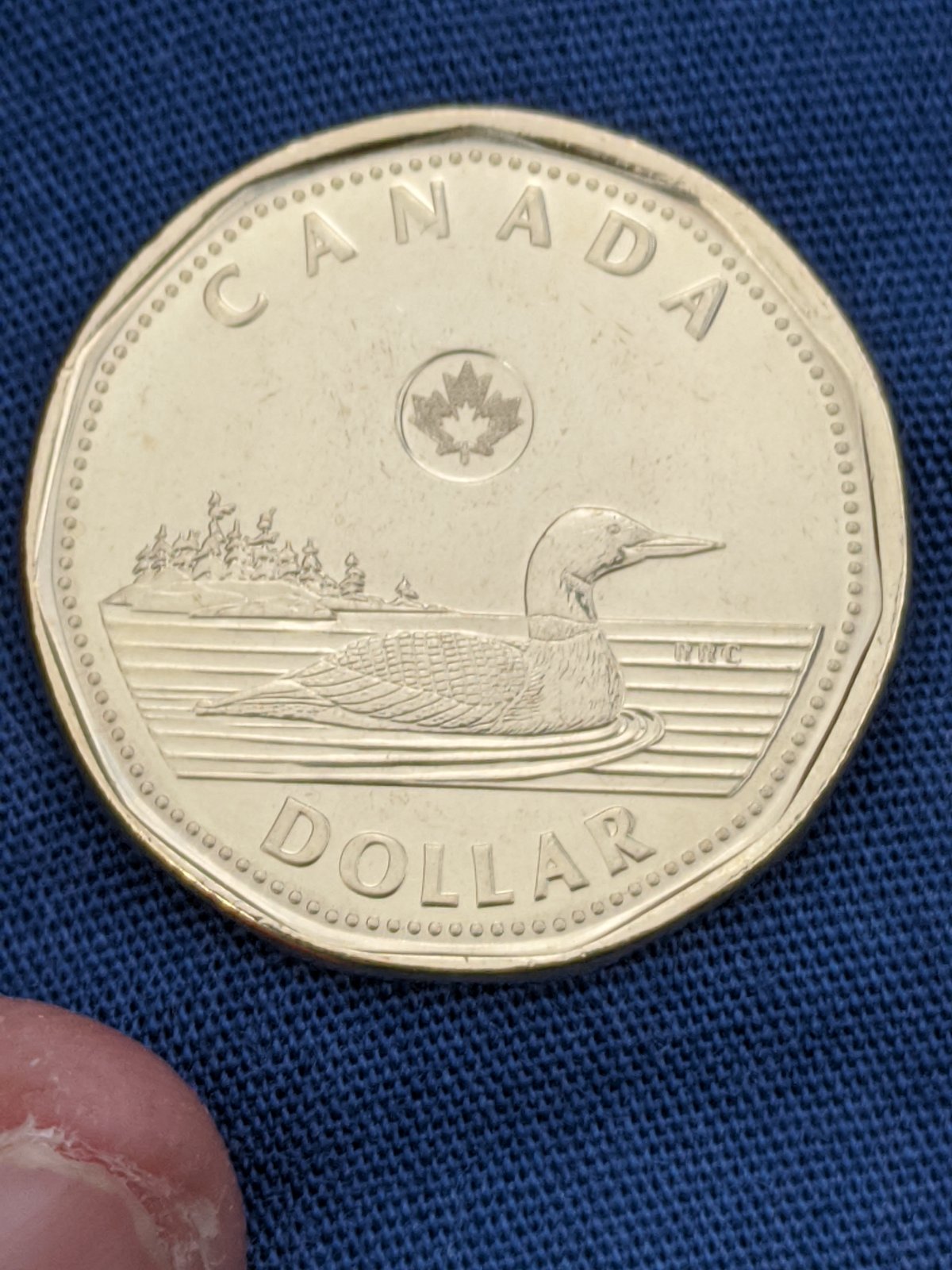 Beautiful-2021-Loonie-I-Got-In-My-Change-Today,-Is-This-Re-Normal
