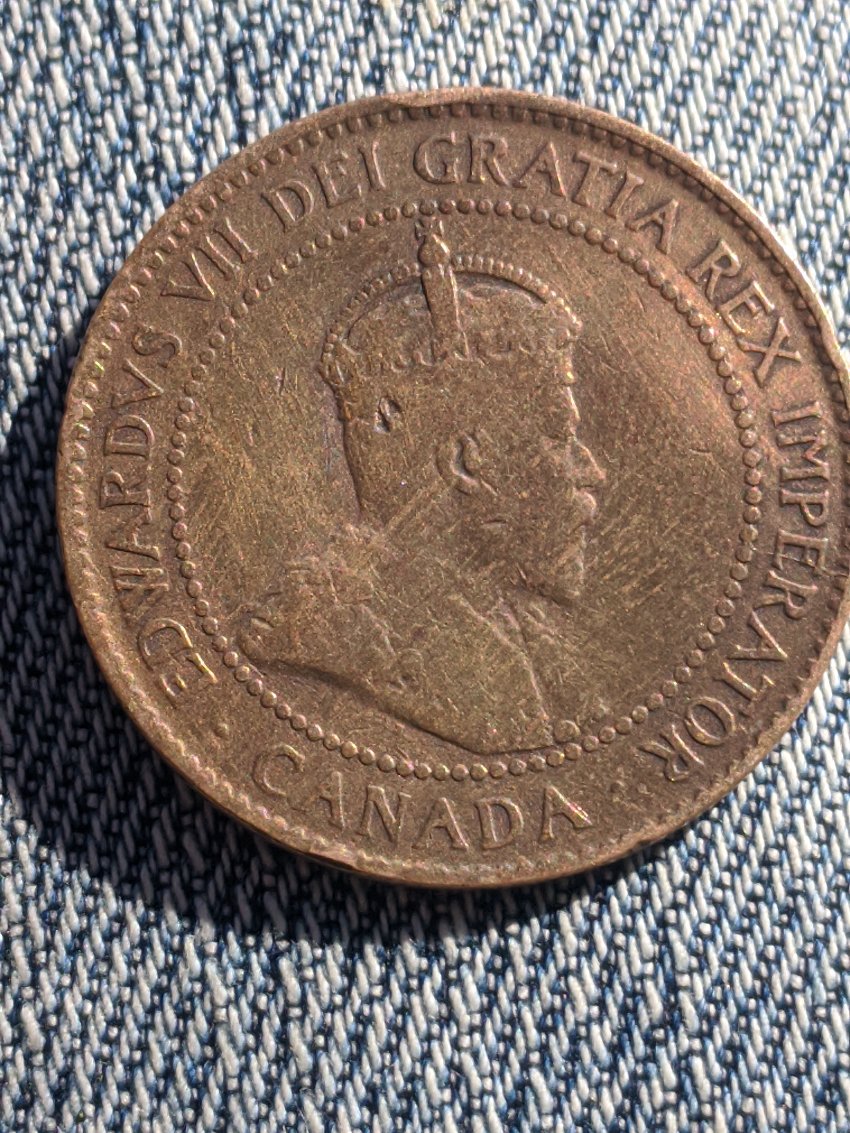 The-Rest-Of-My-Dollar-Bin-Cents