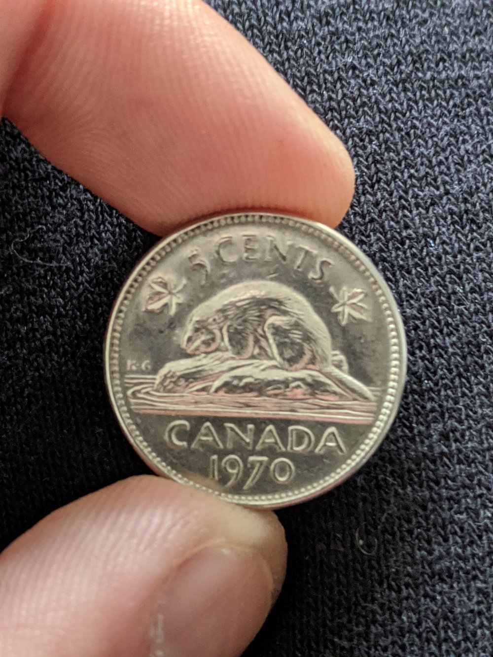 Canadian-Roll-Hunting