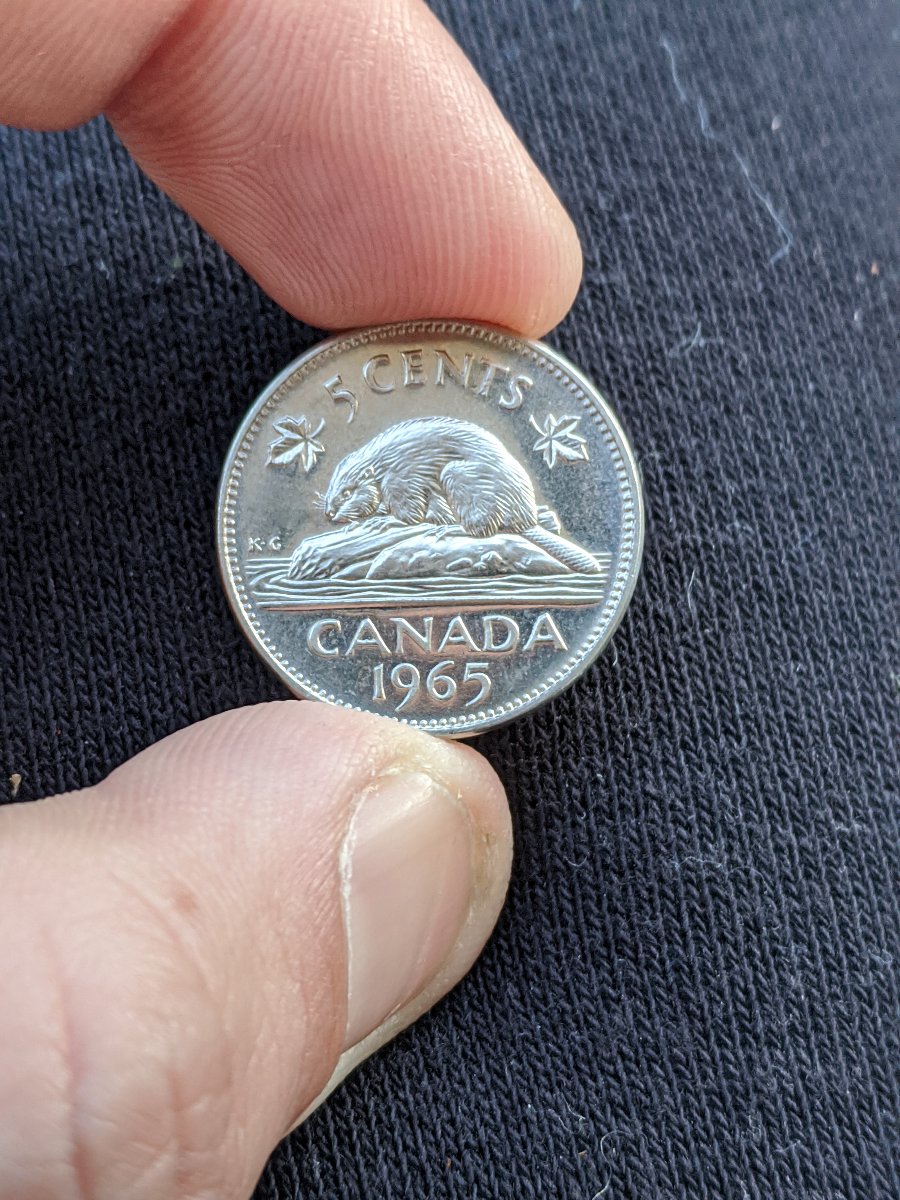 Canadian-Roll-Hunting