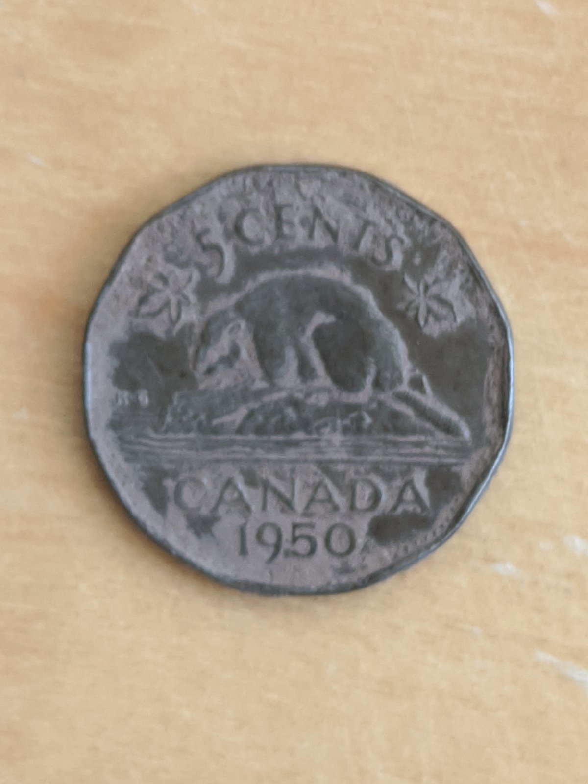 Canadian-Roll-Hunting