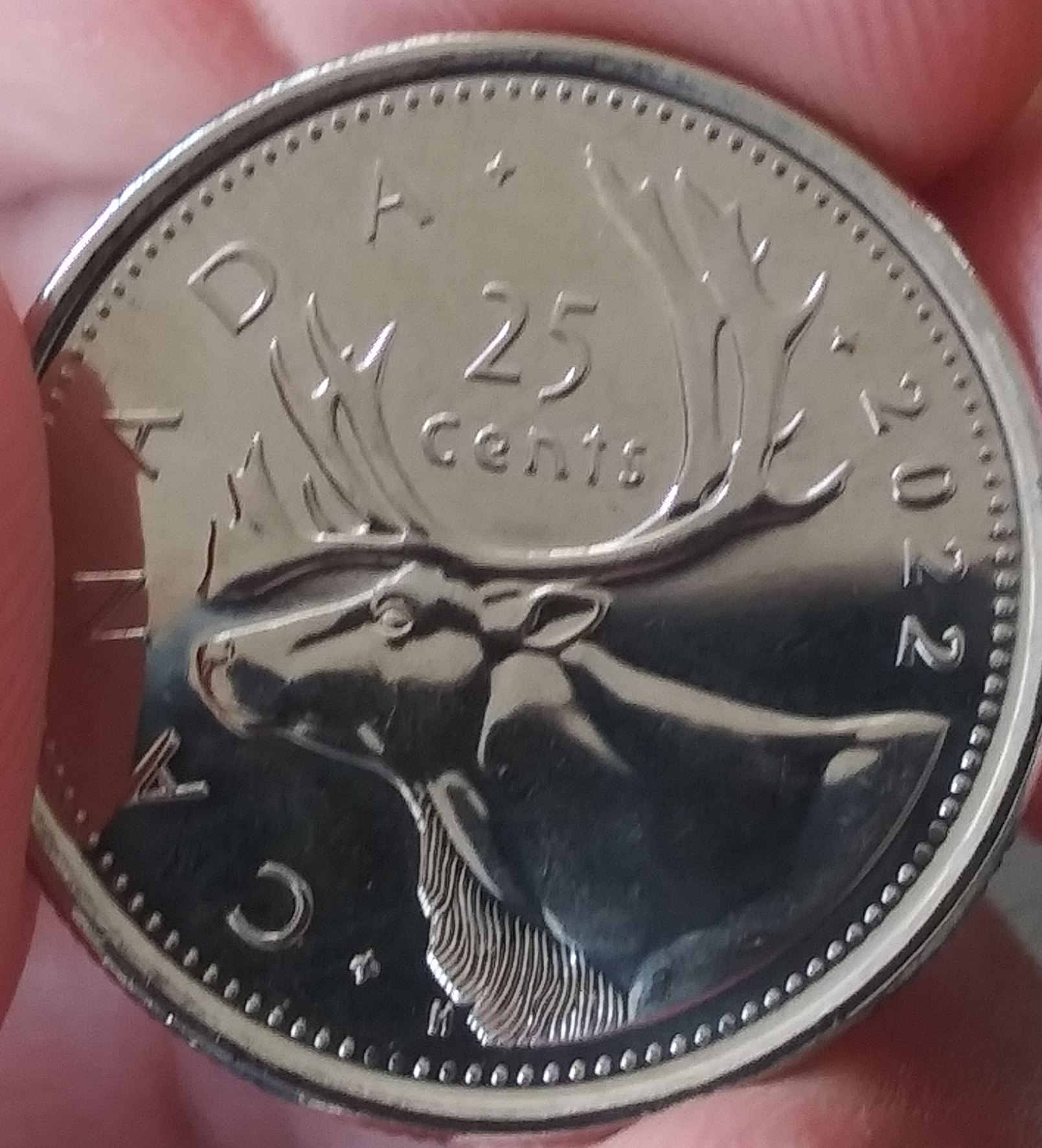 First-2022-Circulation-Coin-Find