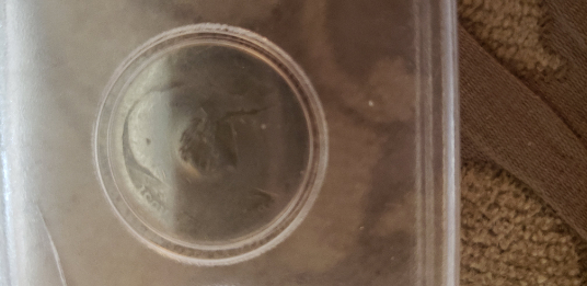 One-Sided-Nickel-That-I-Found