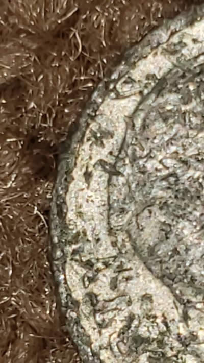HI-I'm-Back!-I-Found-Quite-A-Few-Interesting-Coins.-I'll-Post-One-At-A-Time