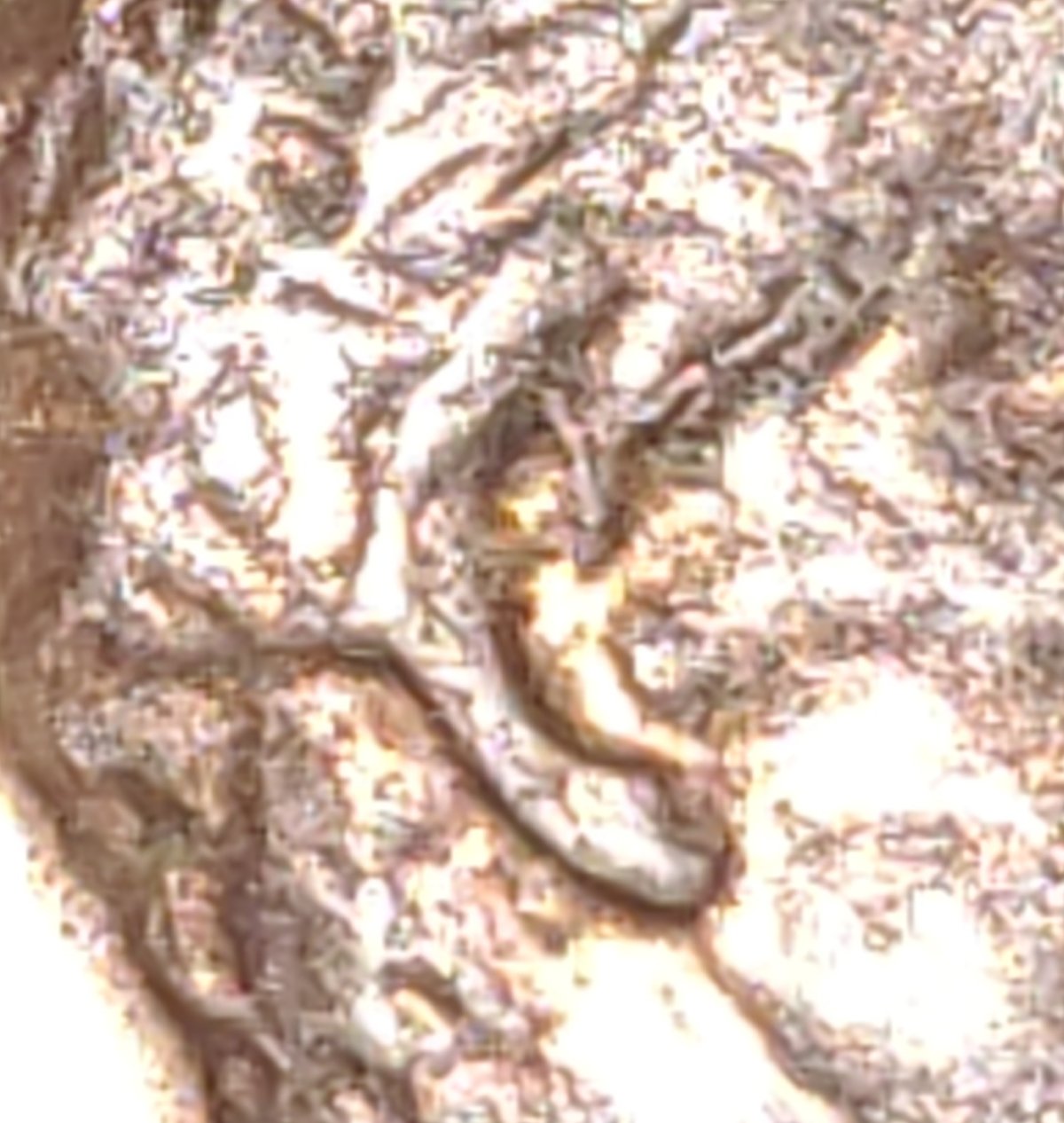 1970-S-Penny--Triple--Border-Die-Clach-And-Errors