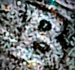 1994-P-Washington-Quarter-5.3-Grams!-Help!