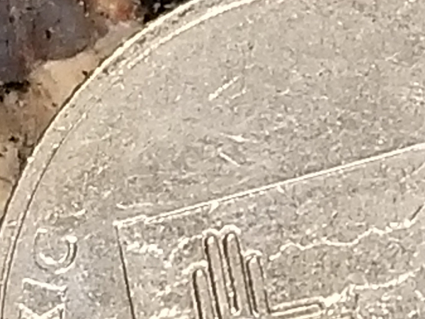 New-Member-&-Coin-To-Review-2008-New-Mexico-Quarter