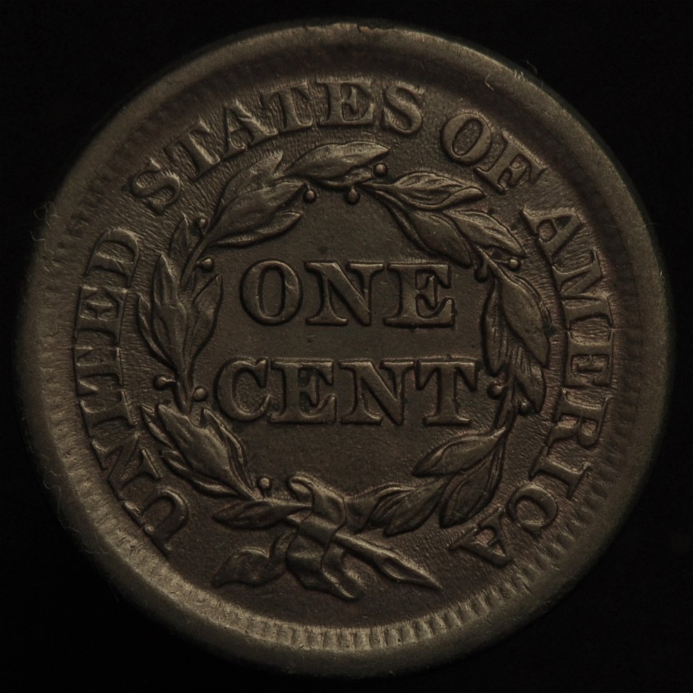 1853-Braided-Hair-Large-Cent----Grading-Opinions-Please