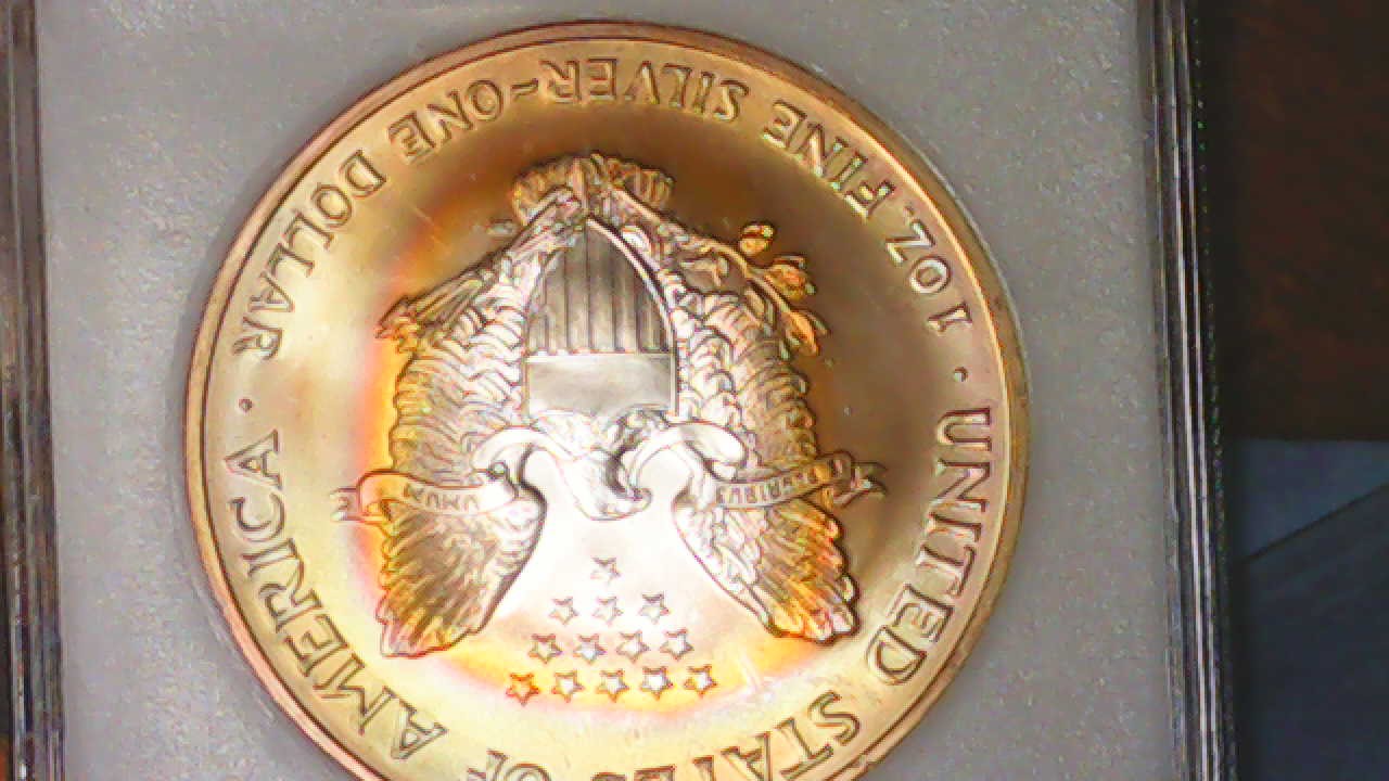 Incredible-Rainbow-Toned-2004-W-Walking-Liberty-Dollar,-Should-I-Buy-Another?
