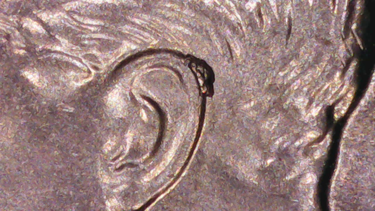 2022-P-Dime-With-Great-Die-Chip-On-Ear
