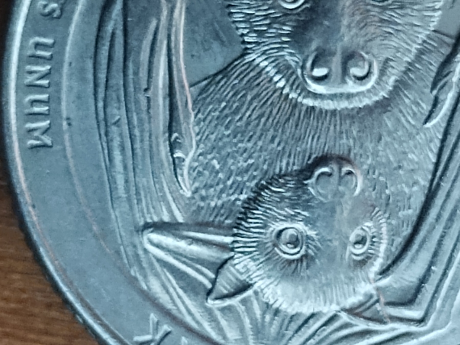 2020-Quarter-American-Samoa-Error
