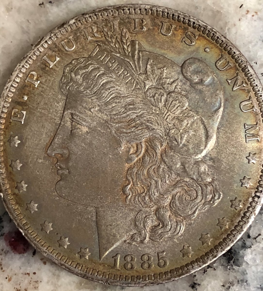 Grade-This-1885-Morgan