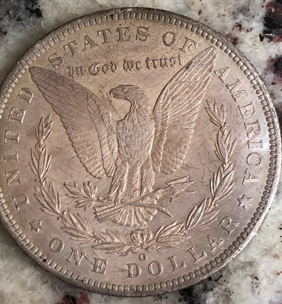 Grade-This-1885-Morgan