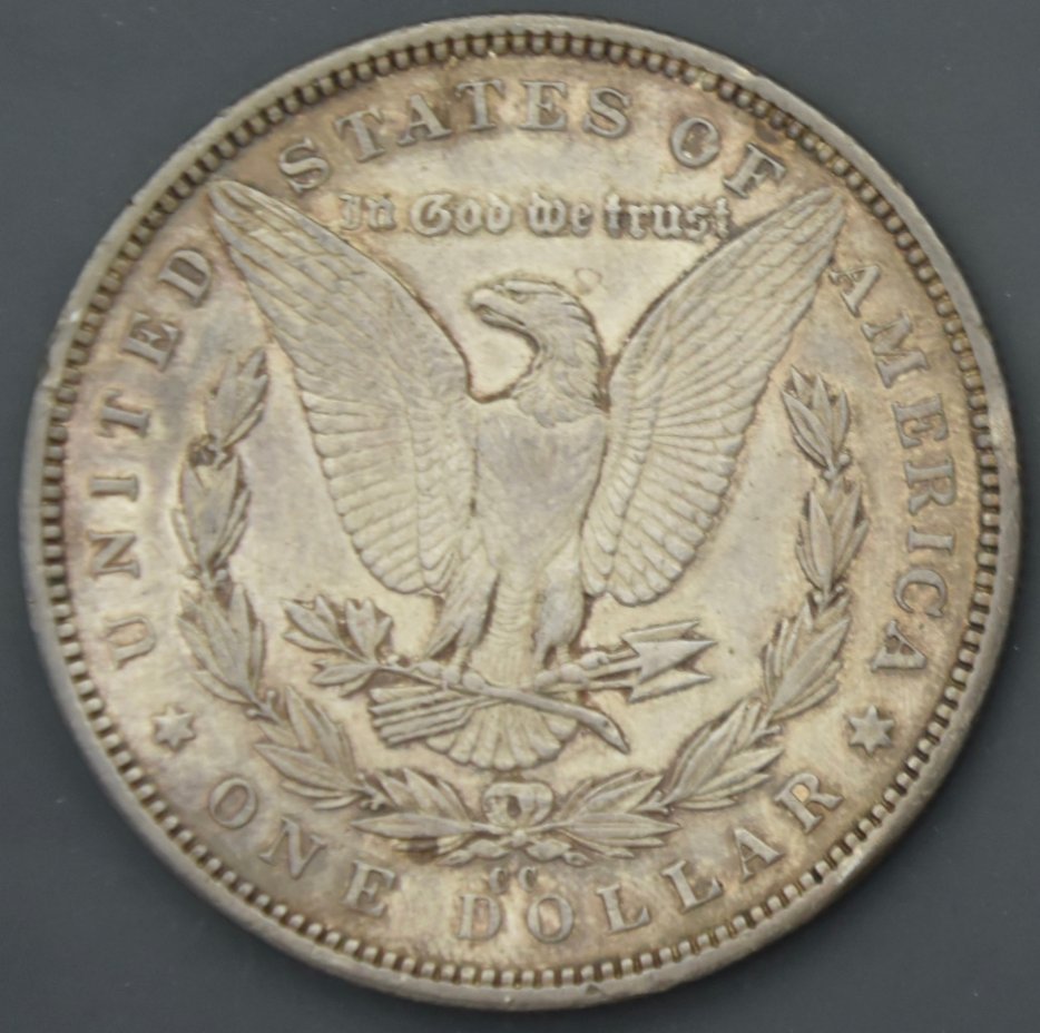 What-Grade-Will-You-Give-To-This-1892-CC-Morgan-Silver-Dollar?
