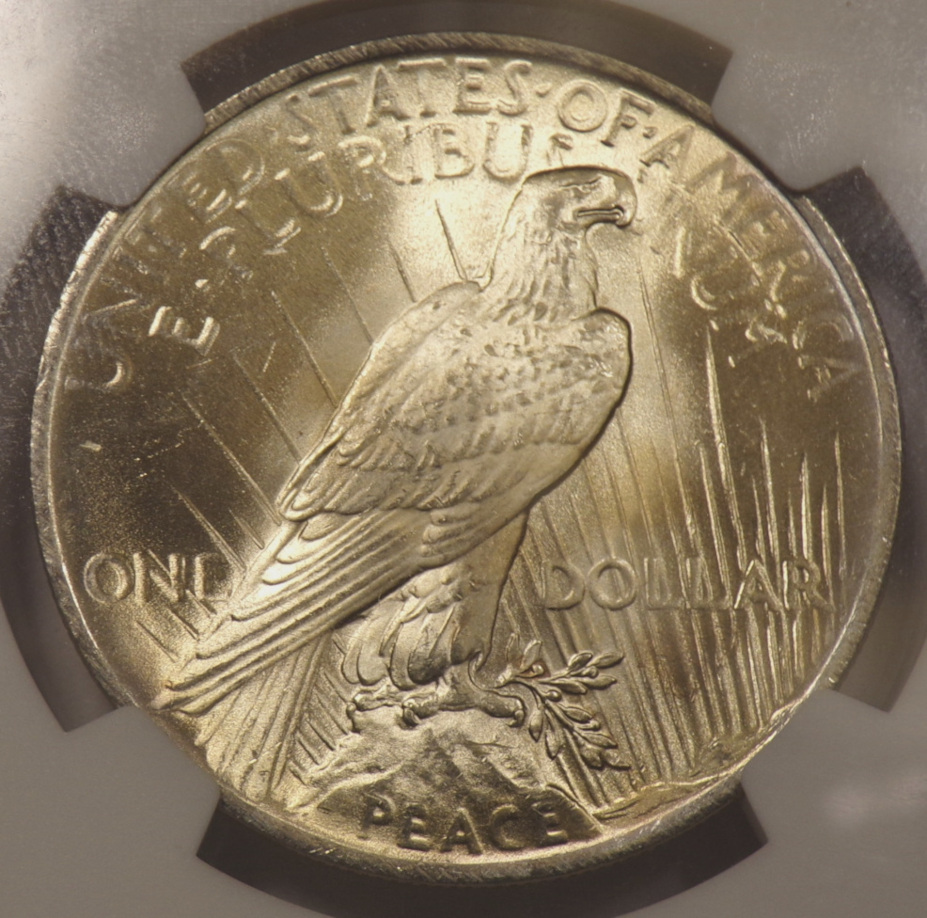 10-Days-Of-Peace-Dollars!
